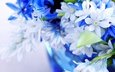 цветы, листья, синий, лепестки, цвет, голубой, букет, голубая, листки,  цветы, нежно