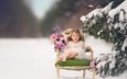 цветы, снег, зима, настроение, розы, дети, девочка, ель, кресло
