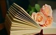 цветы, розы, книга, страницы