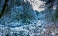 деревья, снег, камни, зима, ручей, шотландия