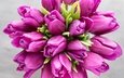 цветы, букет, тюльпаны, розовые, красива, тульпаны,  цветы, парное, весенние, пинк, лиловая