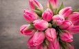 цветы, букет, тюльпаны, розовые, красива, тульпаны,  цветы, парное, весенние