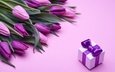 букет, тюльпаны, розовые, подарок, романтик, бант, тульпаны,  цветы, парное, влюбленная, пинк, лиловая