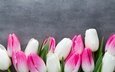 цветы, букет, тюльпаны, розовые, белые, белая, тульпаны,  цветы, парное, весенние, пинк