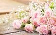 цветы, розы, букет, романтик,  цветы, роз, пинк