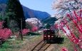 горы, цветение, япония, весна, поезд, префектура гумма