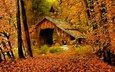 арт, рисунок, деревья, лес, осень, дом, опадают, осен