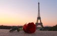 вечер, цветок, роза, город, башня, париж, франция, эйфелева башня
