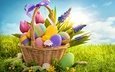 тюльпаны, пасха, яйца, праздник, корзинка, бантик, солнечный свет, крашенки