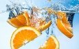 вода, фрукты, апельсин, дольки, цитрусы
