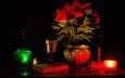 мрак, цветок, растение, ваза, свеча, книга, натюрморт, горшок