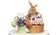 цветы, корзина, кролик, пасха