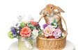 цветы, корзина, кролик, пасха, букеты