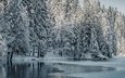 деревья, озеро, снег, лес, зима