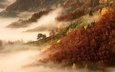 деревья, горы, природа, лес, утро, туман, осень