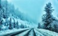 дорога, деревья, снег, зима, туман