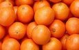 еда, фрукты, апельсины, апельсин, цитрусы