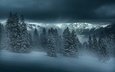 деревья, горы, снег, природа, лес, зима, пасмурно