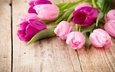 цветы, весна, тюльпаны, розовые, фиолетовые