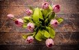 цветы, вид сверху, букет, тюльпаны, розовые, деревянная поверхность