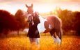лошадь, природа, девушка, платье, поле, конь, венок, солнечный свет
