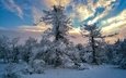 небо, облака, деревья, снег, зима