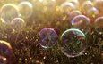 трава, цветные, пузырьки, мыльные пузыри, боке, мыльный пузырь