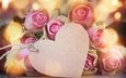 цветы, бутоны, розы, сердце, любовь, романтика, розовые, день святого валентина, valentine`s day