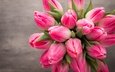 цветы, букет, тюльпаны, розовые, весенние