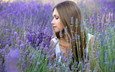 цветы, девушка, поле, лаванда, профиль, волосы
