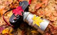листья, осень, фотоаппарат, камера, объектив, очень