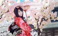 девушка, взгляд, волосы, сакура, зонтик, кимоно, азиатка, гейша