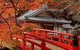 дорога, деревья, листья, храм, мост, япония, клен