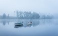 деревья, озеро, утро, туман, лодки, тишина