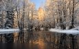 деревья, река, снег, лес, зима, отражение, лёд
