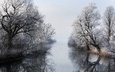 деревья, река, зима, отражение, туман, ветки, чёрно-белое