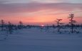 деревья, восход, снег, зима, рассвет, россия, сахалин
