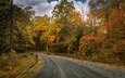 дорога, деревья, листья, осень