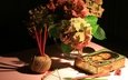 цветы, карандаши, букет, натюрморт, нитки, гортензия, точилка