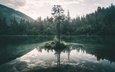 небо, озеро, дерево, лес, отражение, ветки
