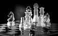 отражение, шахматы, доска, чёрно-белое, фигуры, игра, шахматная доска