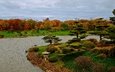 трава, деревья, дизайн, парк, кусты, осень, сша, пруд, чикаго, botanic garden