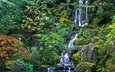 деревья, вода, камни, зелень, водопад, орегон, японский сад