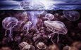 вода, всплеск, медузы, подводный мир, щупальцы