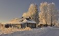 дорога, деревья, снег, зима, утро, иней, деревня, дом, россия, архангельская область, саунино