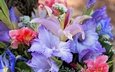 цветы, букет, лилии, ирисы, гладиолус