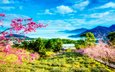 небо, цветы, облака, деревья, горы, цветение, весна, тайвань, сакура