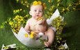 цветы, ребенок, одуванчики, малыш, венок, скорлупа, яйцо