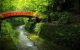 деревья, вода, мостик, парк, канал, япония
