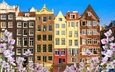 цветы, река, цветение, весна, здания, нидерланды, амстердам